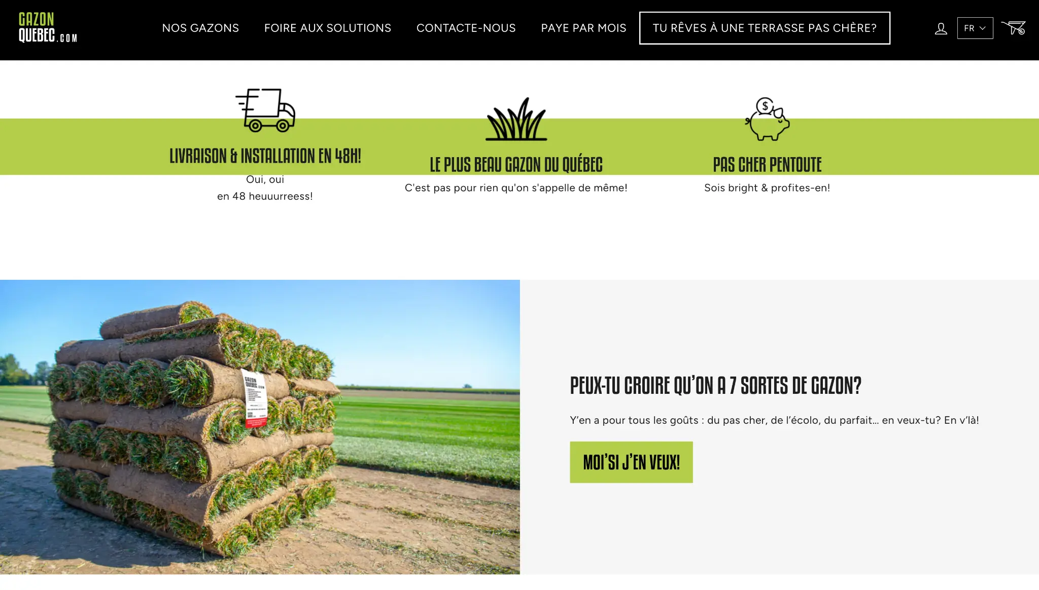 Gazon Québec: Une croissance fulgurante grâce au E-commerce